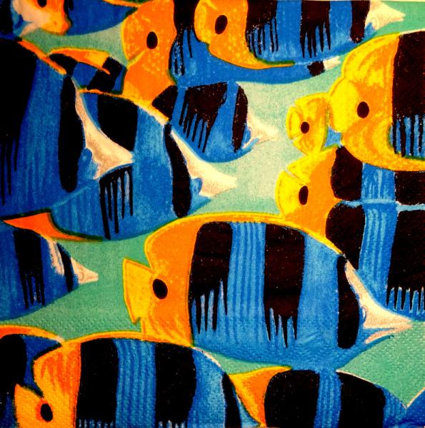 056 Fish - 3-ply - Fasana